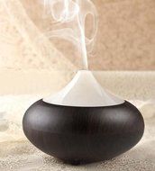 LeaningTech GX-02K 160ml Wood Air Purifier / Aroma Therapy Humidifier