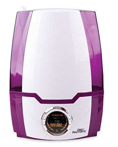 Air Innovations Digital Ultrasonic Humidifier with Digital Display