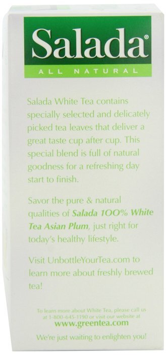 Salada Pure White Plum Tea, 20-Count (Pack of 6) N4