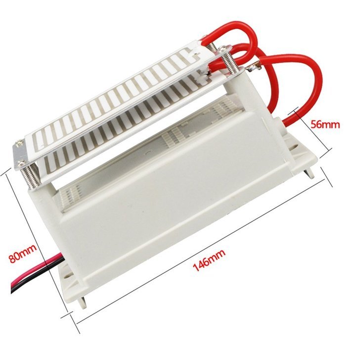 Portable Ozone Generator 110V 10g Double Ceramic Plate Integrated Ozone Generator Sterilizer Air Purifier Air... N4