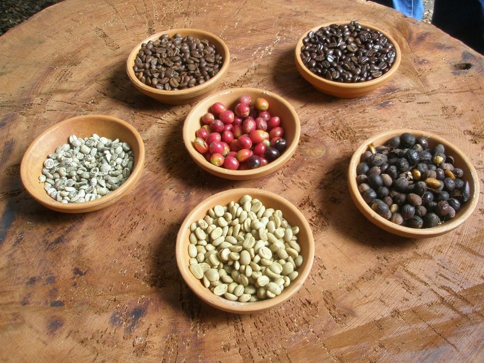 Kilamb&eacute; Coffee, Super Premium Gourmet Nicaraguan Coffee, Certified USDA Organic, Single Source, Fairly Traded,... N3