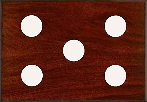 5-Slot Instrument Panel in Mahogany Finish