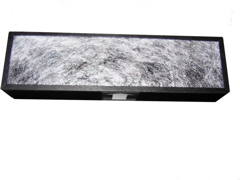 Replacement DUAL HEPA model N2