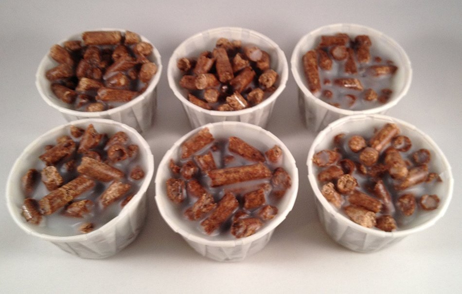 96 Fire Starter Cups All Natural