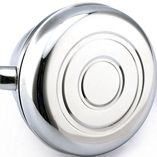 Diguo Coffee Kettle Stainless Steel Pour Over Kettle Coffee Pot Tea Pot, Gooseneck, 1.2 Liter N5