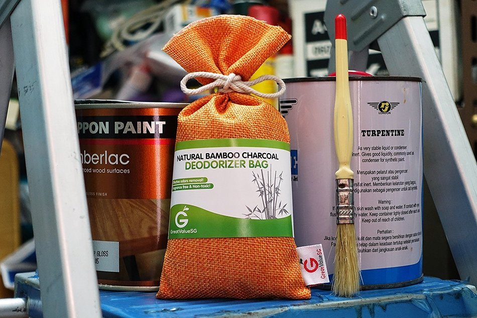 BUY MORE SAVE MORE Great Value SG Bamboo Charcoal Deodorizer Bag, Best Air Purifiers for Smokers & Allergies,... N13