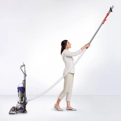 Radial Root Cyclone Ball Animal Upright Vacuum N4