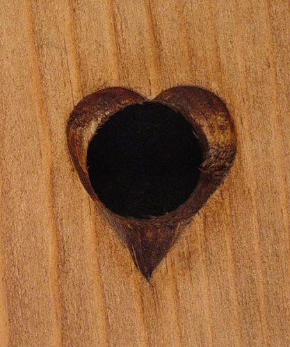 Fireplace Hearth Woodstove Bellows - COUNTRY HEART N5