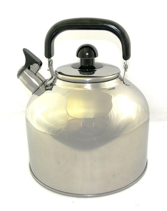 Ballington 6.3 Liter Stainless Steel Tea Kettle with Infuser