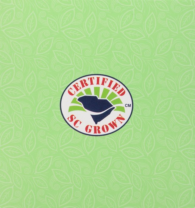 American Classic Pyramid Teabags, Island Green Mint, 12 Count N3