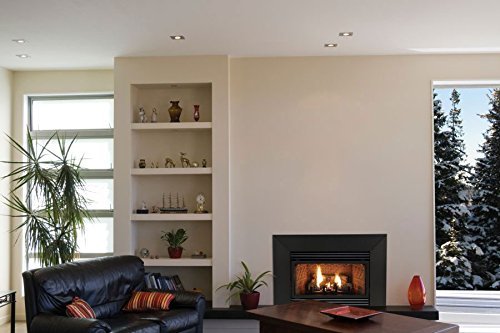Vent-Free MV 20000 BTU Fireplace Insert - Liquid Propane