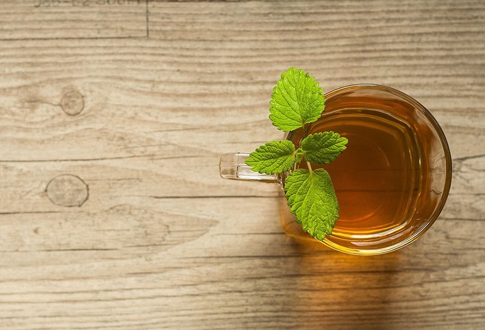 Organic Guayusa Tea, Loose Leaf Amazonian Superleaf Tea by Wild Foods, Full of Antioxidants and Caffeine, Smooth... N5