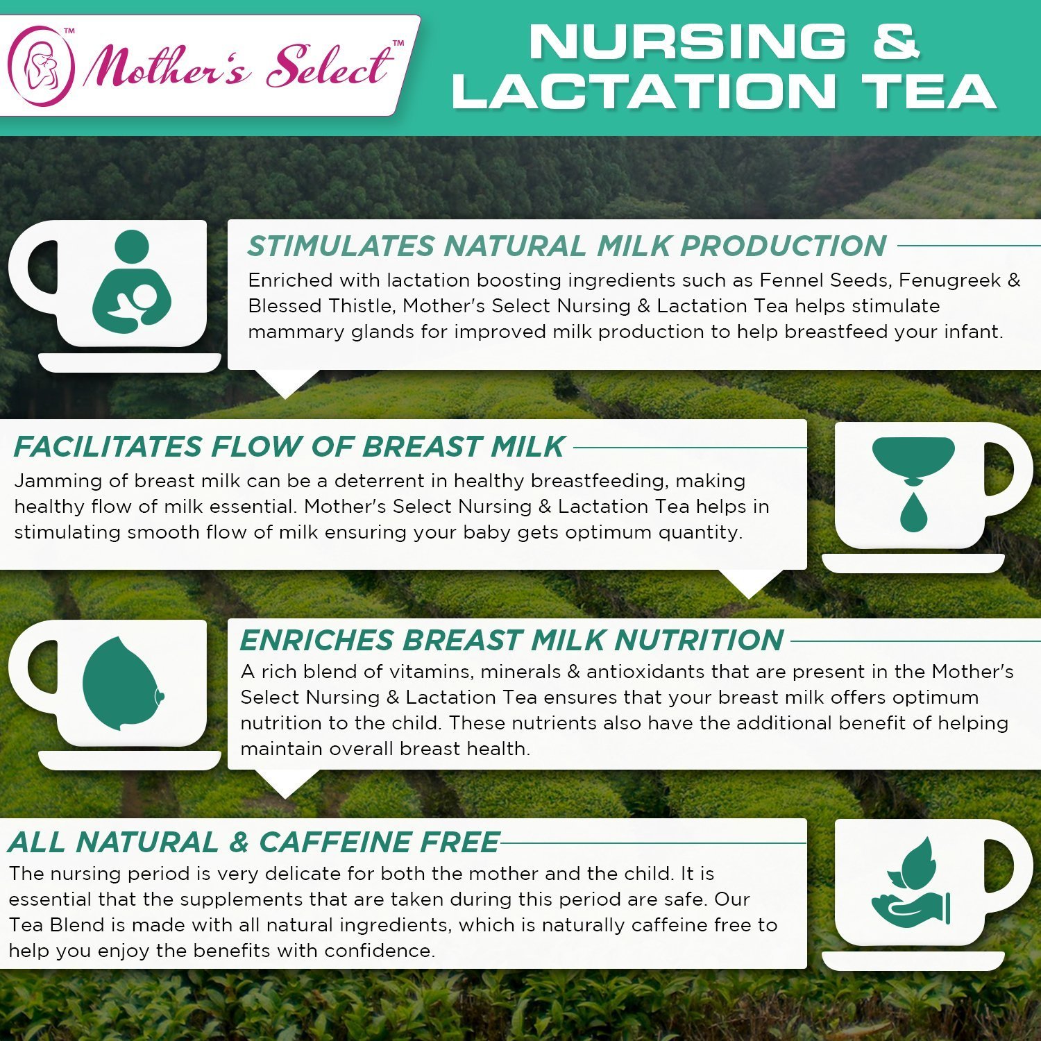 Nursing And Lactation Tea By Mothers Select To Increase Breast Milk