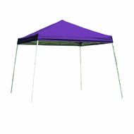 10x10 Slant Leg Pop-up Canopy, Checkered Flag Cover, Black Roller Bag N8