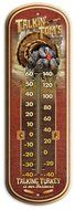 American Expedition Tin Thermometer - Bear's Den Cabin Rentals N9