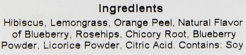 Stash Tea Traditional Black Tea, 1 Ounce Iced Tea Brew Bags (Pack of 24) N29