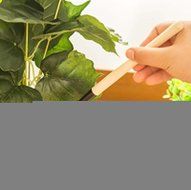 MMRM Mini Potted Plant Garden Hand Tool Kit Spade Shovel Rake for Kids N3