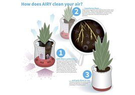 AIRY - natural air purifier (stone grey - space blue) N9