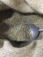 Espresso Coffee - Cubico Specialty Coffee - Gourmet Roasted Arabica Whole Bean Espresso Blend - 12 Ounce (Dark... N19