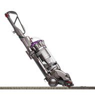 Dyson DC28 Animal N6