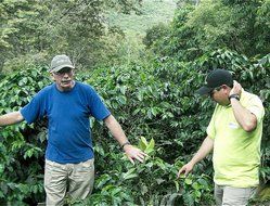 Don Gringo&acute;s Ground French Dark Roast Coffee Peruvian Andes&acute; Gourmet Arabica Selection. Single Origin Blend, Organically... N29