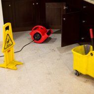 B-Air VP-25 Compact Lightweight Air Mover Carpet Dryer Blower Floor Fan N5