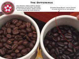 Eternal Spring Coffee Eternal Spring Whole Bean Colombian Coffee &ndash; 17.6 oz N2