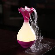 CNUALV Aromatherapy Essential Oil Diffuser Aroma Humidifier Air Purifier Cool Misting Spraying Bottle Humidifier... N6