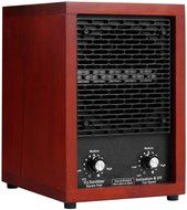 Air Purifier Ozone Generator Ionizer Ozonator Smoke Remover Cleaner NEW N2