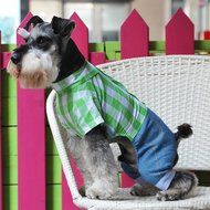 Spritech(TM) Pet Dog Puppy Lovely Cotton Clothes Vest Shirt Small Dog Blue S N3