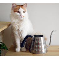 M&amp;C 1.2L Pour over Coffee Kettle with Built-In Thermometer | Gooseneck | Premium Stainless Steel N7