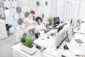 AIRY - natural air purifier (snow white - black jack) N2