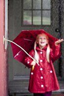 Vermont Weather Stick N3