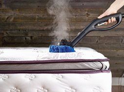 Dupray HOME Steam Cleaner