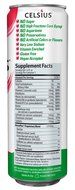 Celsius Green Tea, Peach Mango, 12 Ounce (Pack of 12) N31