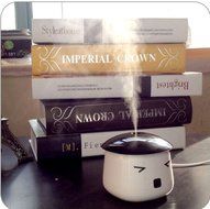 INST LeBao Mini Humidifier with USB Cable, Ideal for Bedrooms, Living Rooms, etc. (Black 01) N7