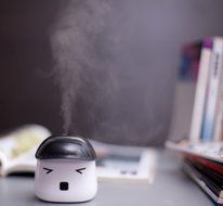 INST LeBao Mini Humidifier with USB Cable, Ideal for Bedrooms, Living Rooms, etc. (Black 01) N8
