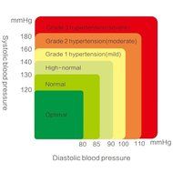 Blood Pressure Monitor Wrist Accurately Detects Blood Pressure Heart Rate &amp; Irregular Heartbeat, Large LCD Display...