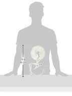 6" Mini Fan Small Compact Portable Desk Table Clip Electric Personal Air 2-Speed