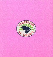 American Classic Pyramid Teabags, Rockville Raspberry, 12 Count N4