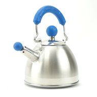 Whistling Tea Kettle, Mini Stainless Steel Teapots Hot Water Kettle (Red) N9
