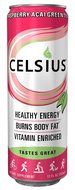 Celsius Green Tea, Peach Mango, 12 Ounce (Pack of 12) N48