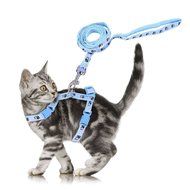 Nylon Pet Dog Cat Kitten Adjustable Harness Lead Leash Collar Belt Safety Rope N5