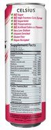 Celsius Green Tea, Peach Mango, 12 Ounce (Pack of 12) N61
