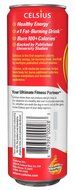 Celsius Green Tea, Peach Mango, 12 Ounce (Pack of 12) N63