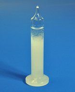 Small 6-inch Admiral FitzRoy Storm Glass for Weather Forecasting N2