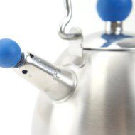 Whistling Tea Kettle, Mini Stainless Steel Teapots Hot Water Kettle (Red) N10