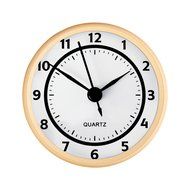 2-3/4" White Hygrometer Insert N4