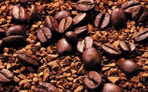 Bali Kintamani Natural Organic RFA Coffee Beans (Unroasted Green Beans, 5 Pounds Whole Beans) N3