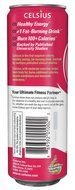 Celsius Green Tea, Peach Mango, 12 Ounce (Pack of 12) N85